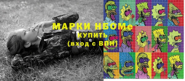 дмт Арсеньев