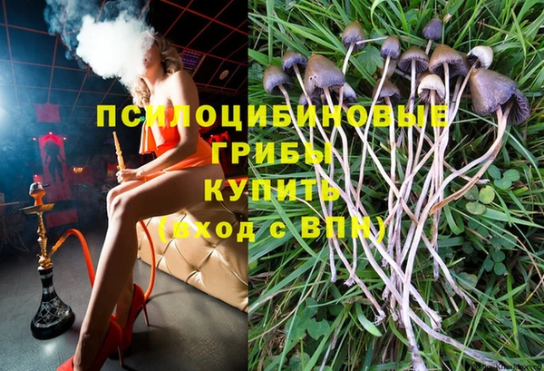 apvp Аркадак