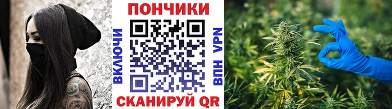 как найти наркотики Хвалынск Марихуана гибрид